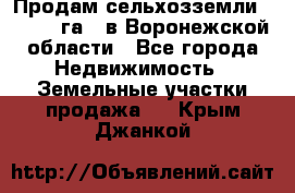 Продам сельхозземли ( 6 000 га ) в Воронежской области - Все города Недвижимость » Земельные участки продажа   . Крым,Джанкой